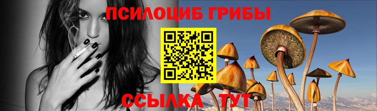 Камень-на-Оби  Псилоцибиновые грибы Psilocybe  Вход с VPN 